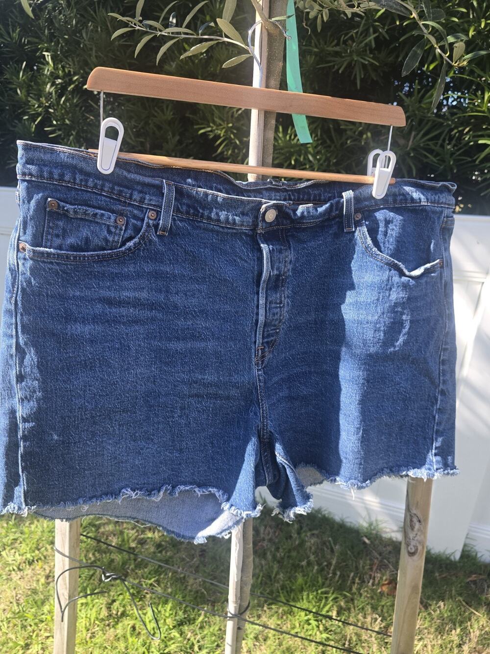 Levis Womens 501 Shorts Medium Wash button fly 22W cut offs beach summer - Picture 1 of 7